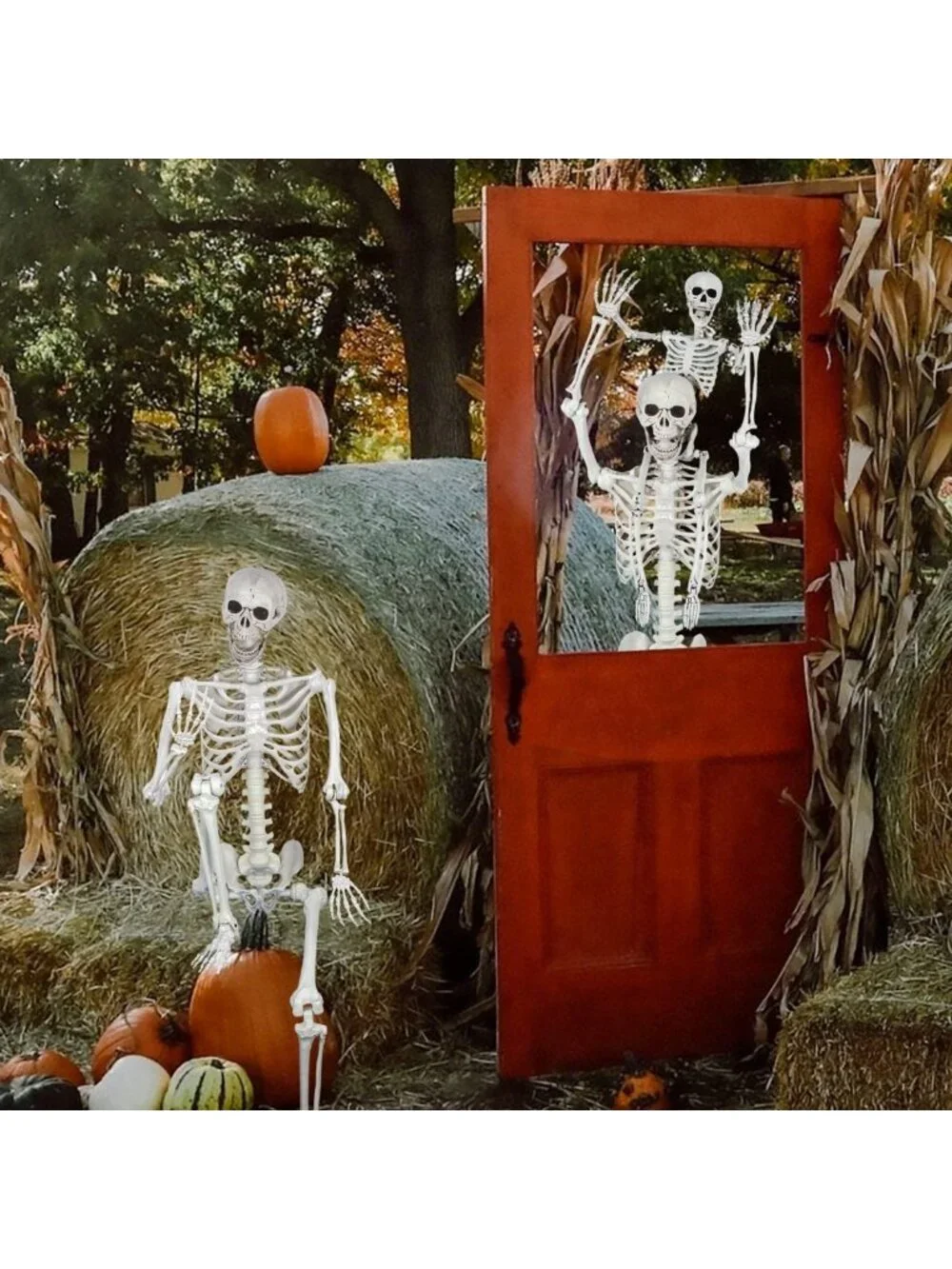 Life-Size 5.4ft Posable Halloween Skeleton - Movable Joints for Spooky Décor